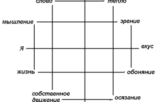Чувство осязания: теория Р. Штайнера
